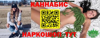 гидра Дубна