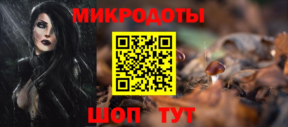 Псилоцибиновые грибы Psilocybine cubensis Гулькевичи